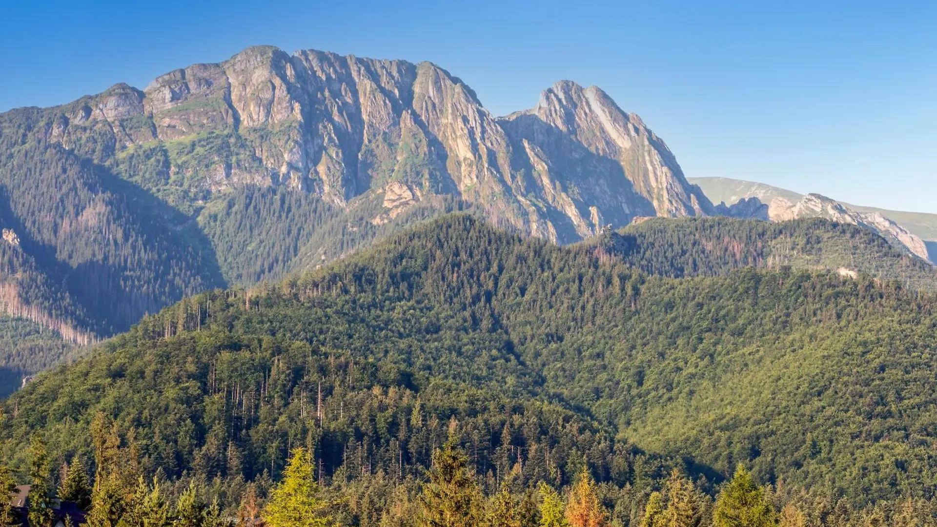 Rzemieslnik Zakopane Ξενοδοχείο